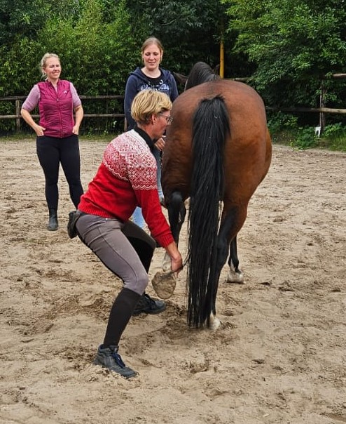 Physio